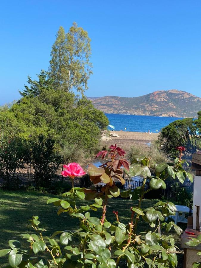 Residence Palmarella Appartement 10 غاليريا المظهر الخارجي الصورة